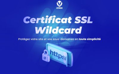 Certificat SSL Wildcard : protégez votre site et vos sous-domaines en toute simplicité